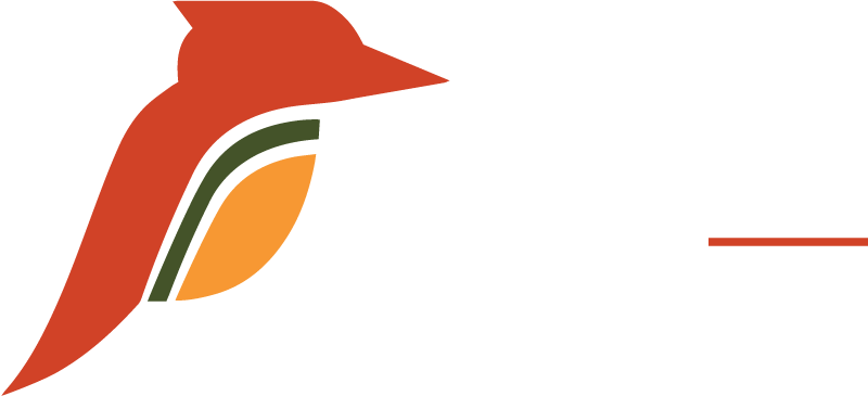 Quantum Charter Aviation